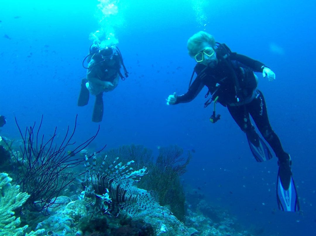 Wakatobi National Park景点图片