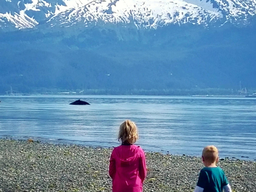 Tonsina Creek Trail-苏厄德必去景点