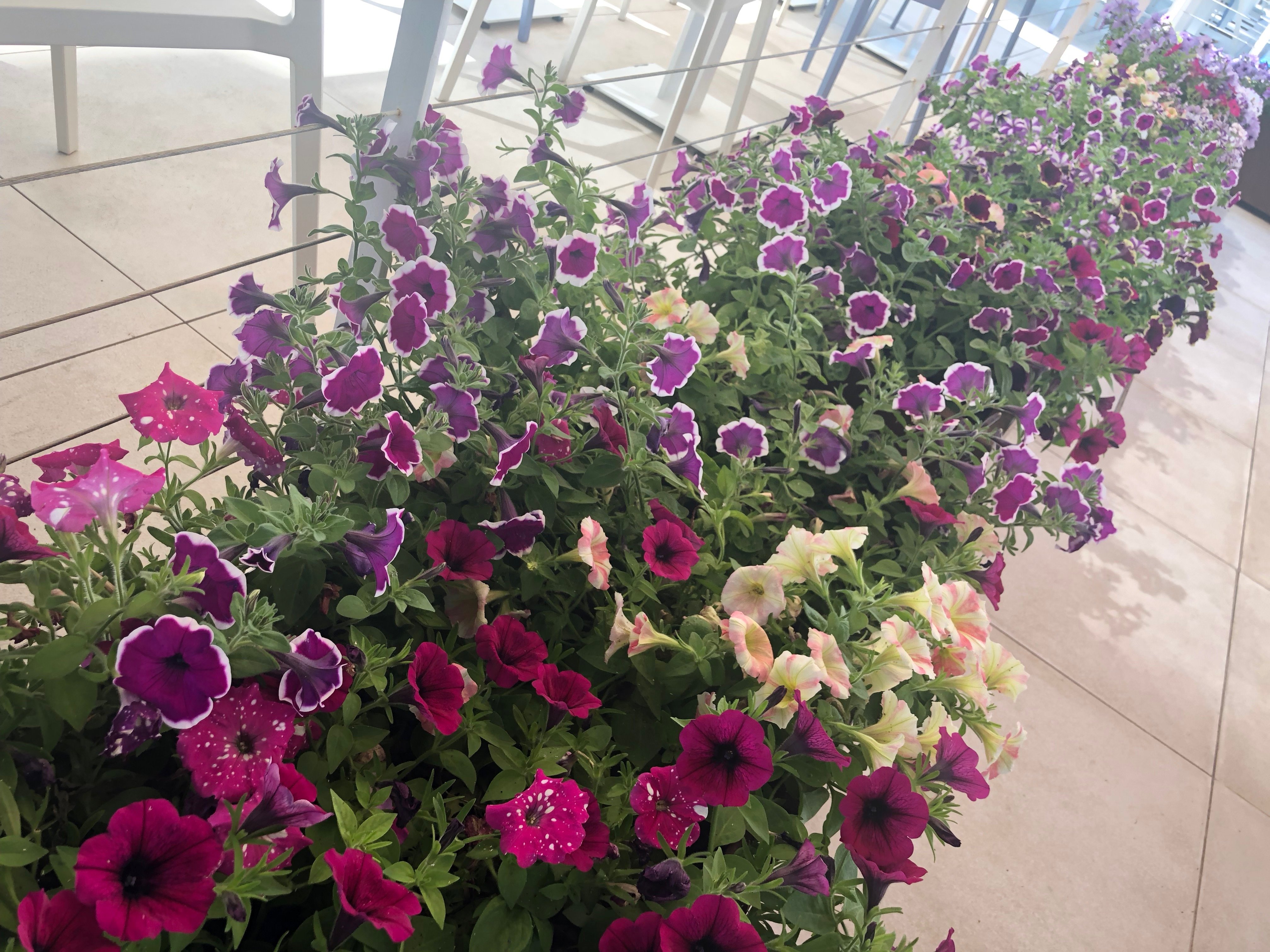 Bahia de Palma-浴室