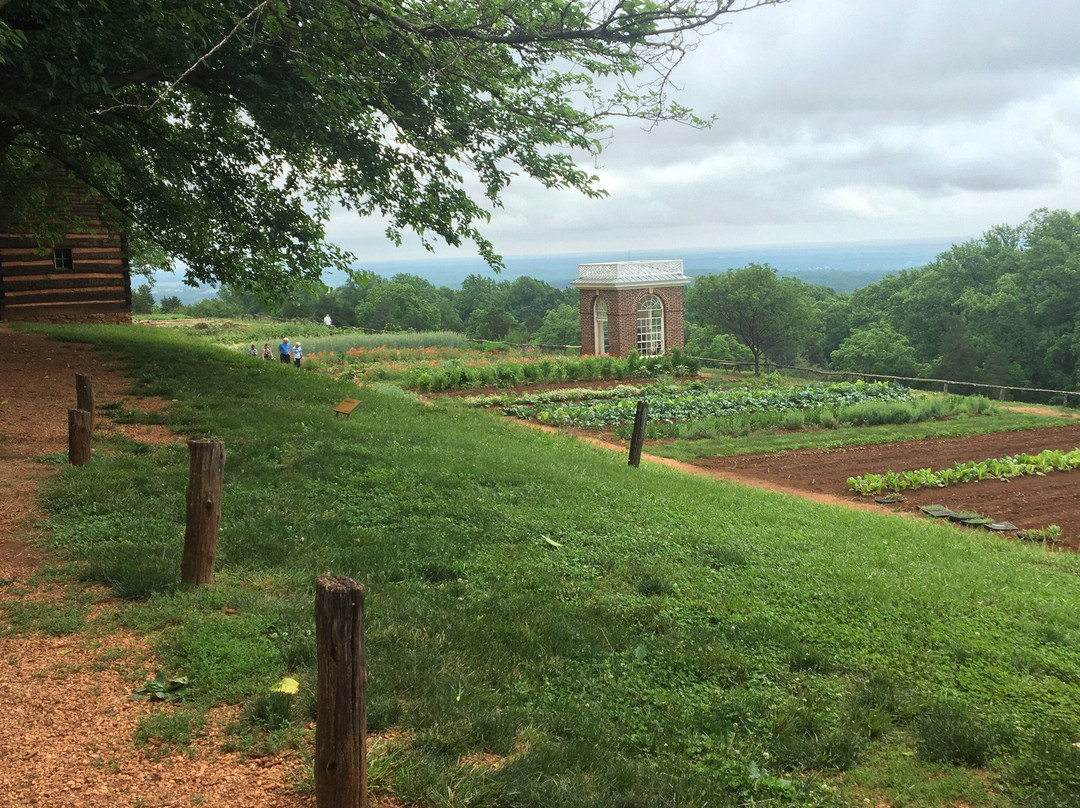 Mulberry Row-夏洛茨维尔必去景点