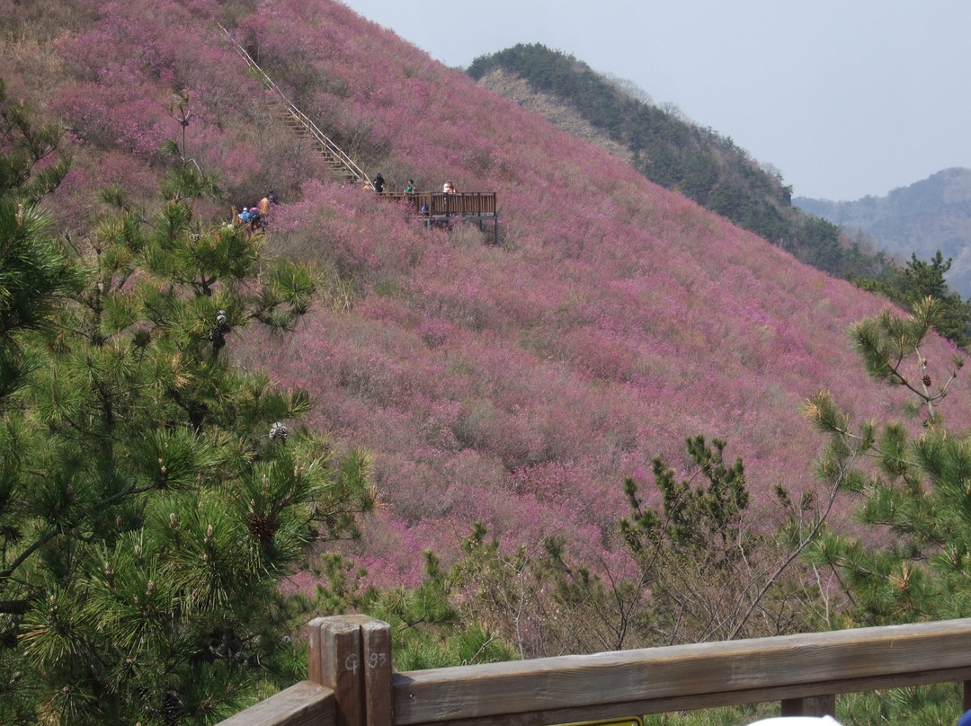 Mount Cheonju in Changwon-昌原市必去景点