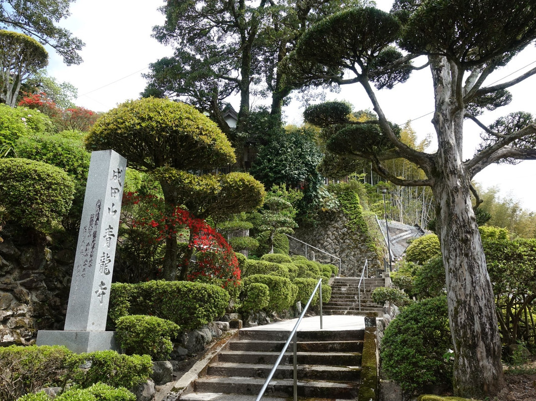 Naritasan Seiryuji Temple景点图片