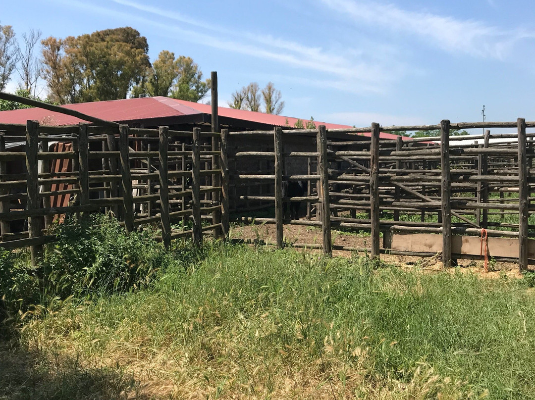 Oasi LIPU Castel di Guido-罗马必去景点