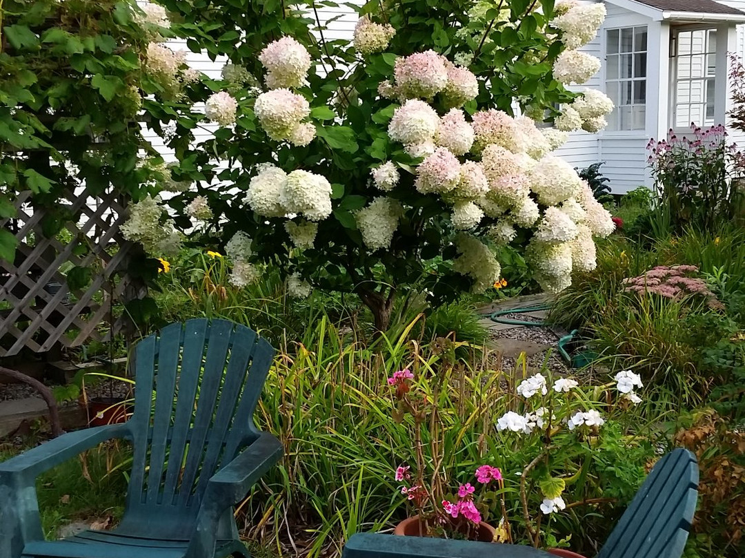 George Perley House主图