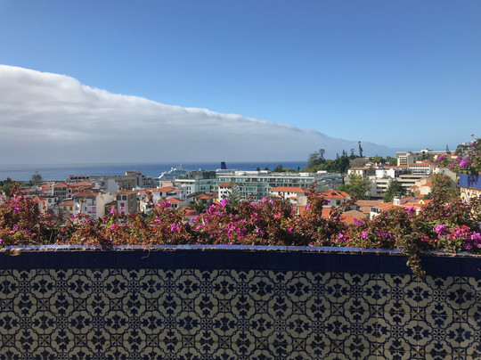 Free Walking Tours Funchal-沙尔必去景点