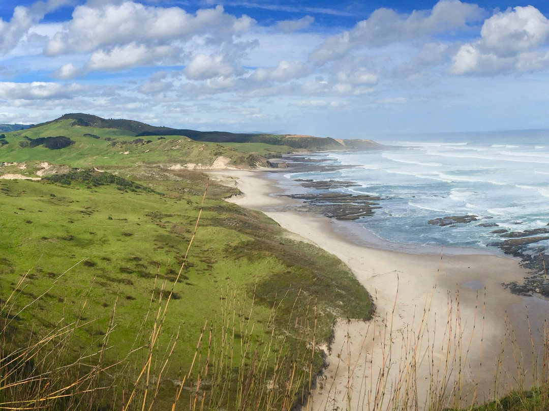 Waimamaku Coastal Track-Opononi必去景点
