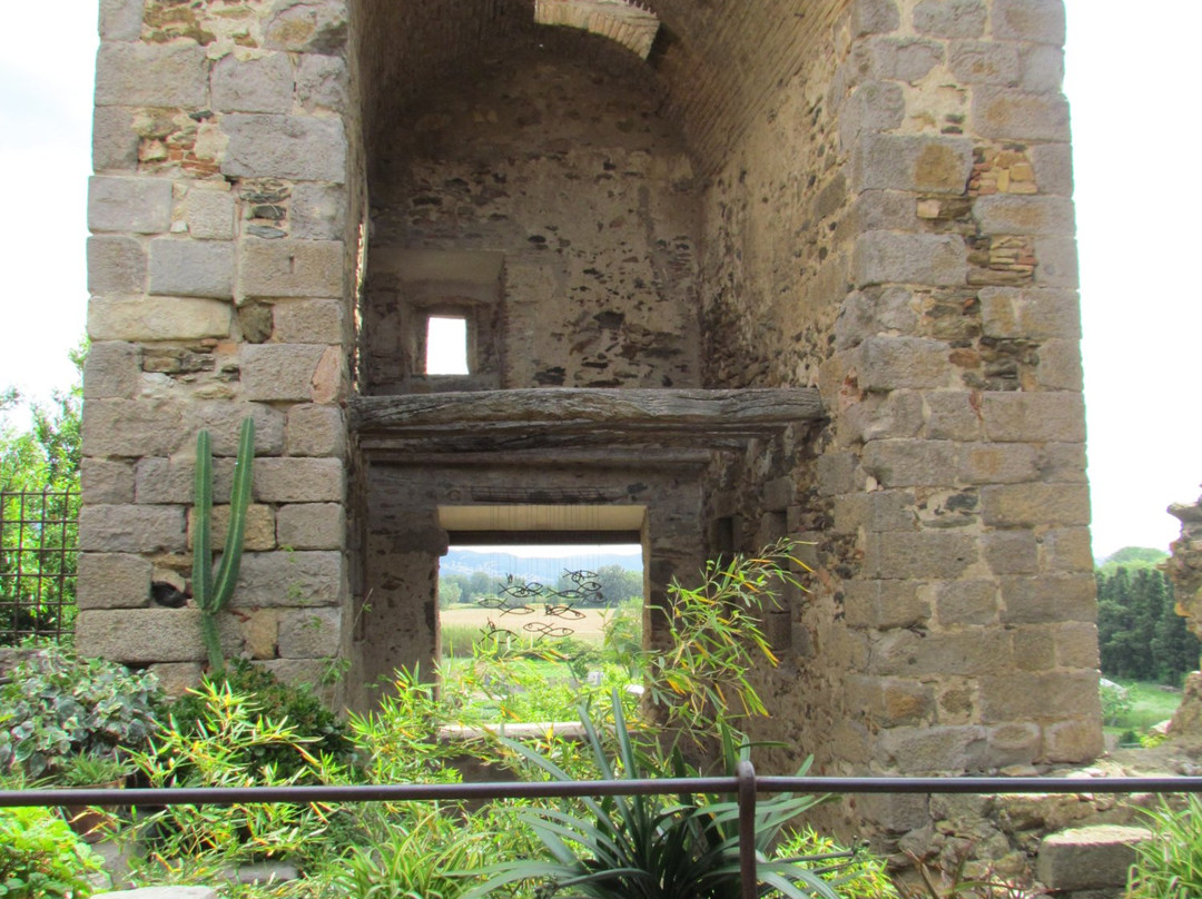 Portal de la Gallarda景点图片