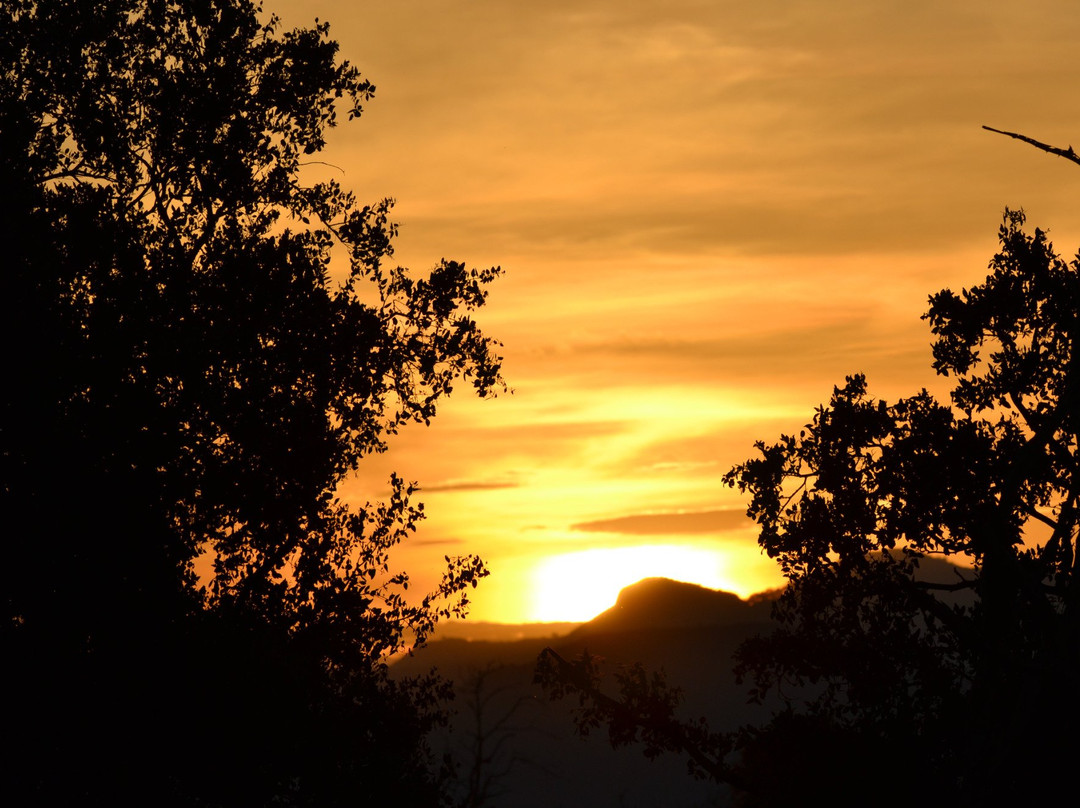 Sentrim Tsavo Lodge主图