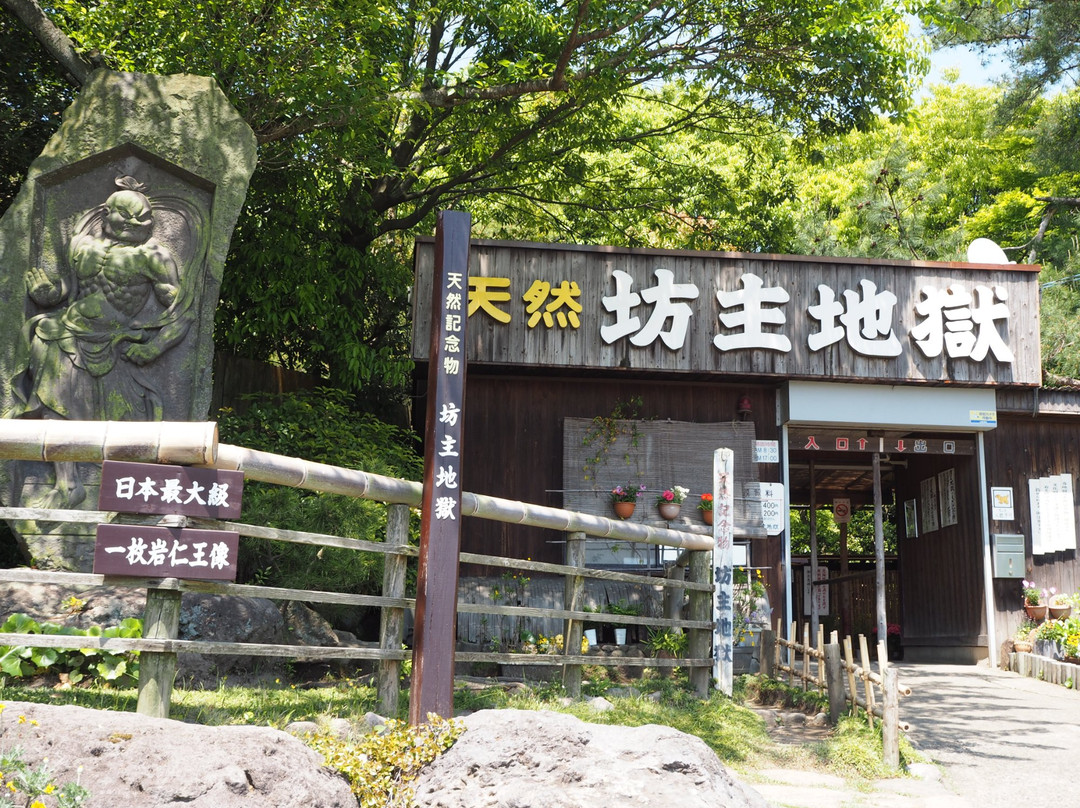 Bozu Jigoku景点图片