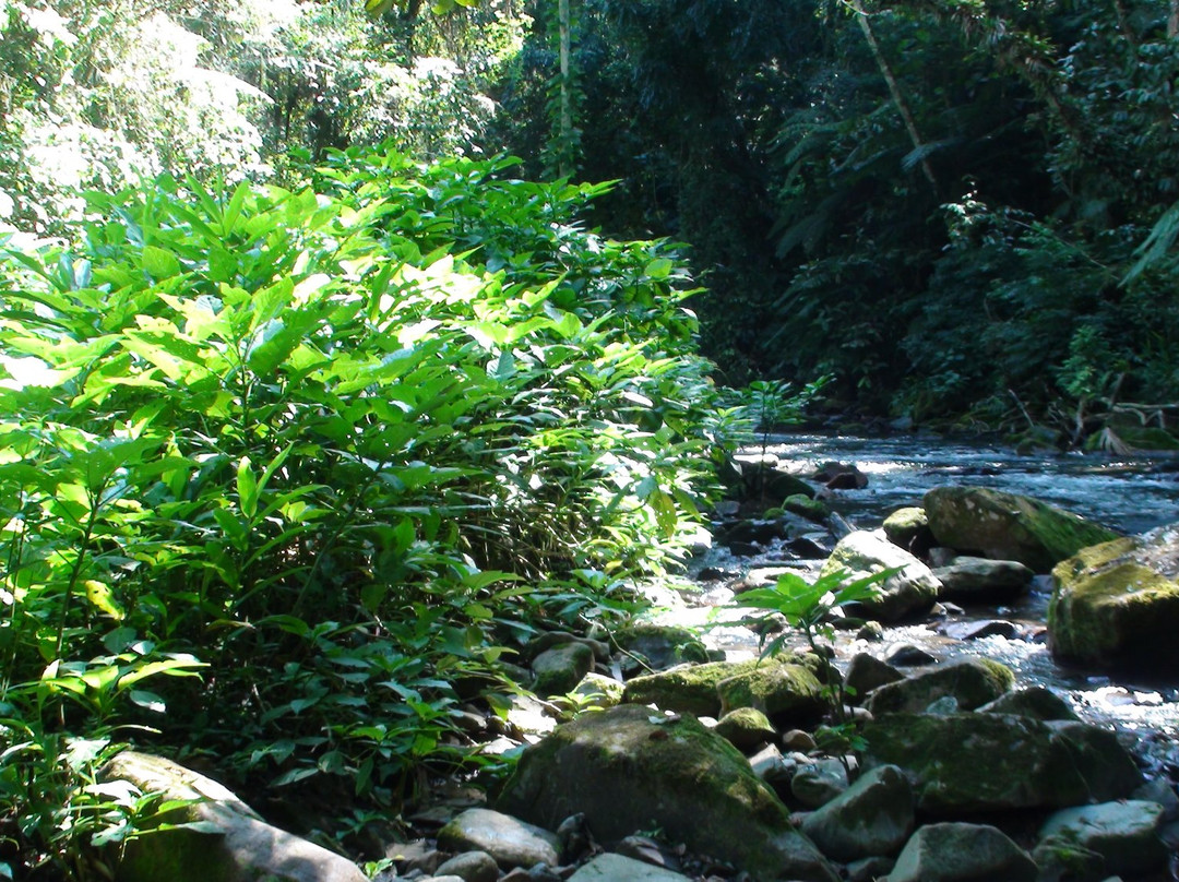 Cachoeira das Andorinhas-伊波兰加必去景点
