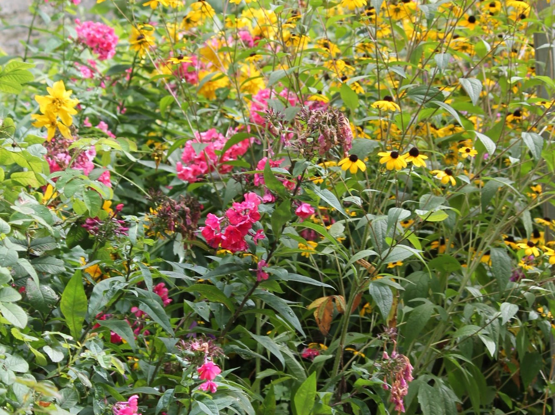 Hutchison House Museum-彼得伯勒必去景点