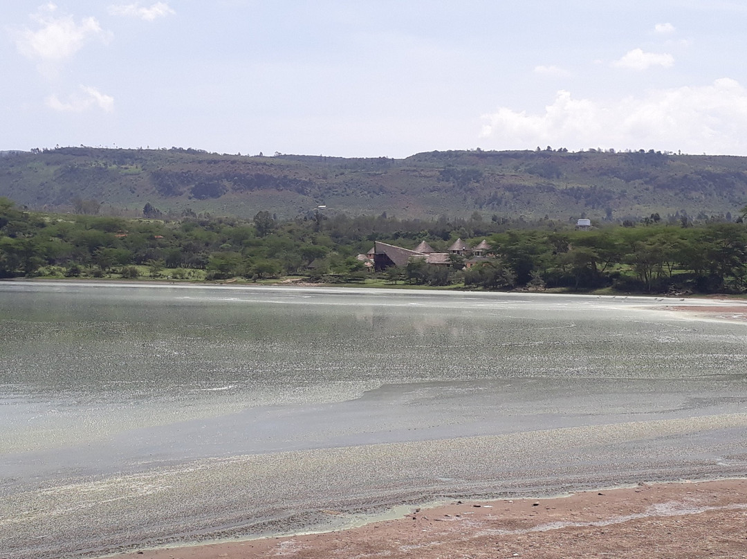 Sirville Lake Elementaita Lodge主图