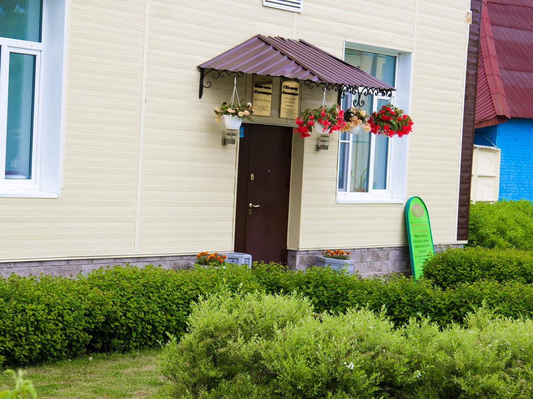 Mini Hotel Gostilitsy主图