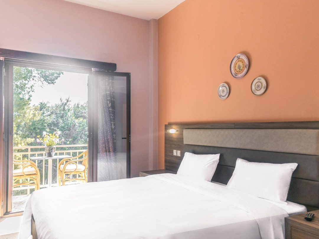 The Delfini Hotel主图