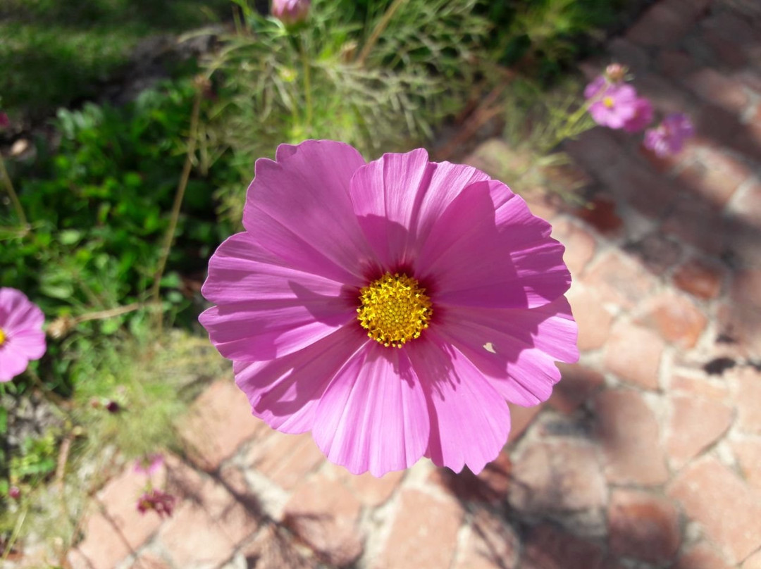 De Waal Wines-斯泰伦博斯必去景点