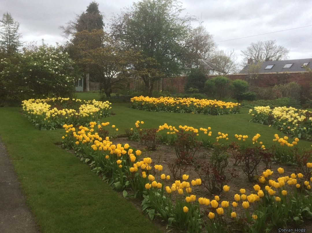 Stanley旅游攻略图片