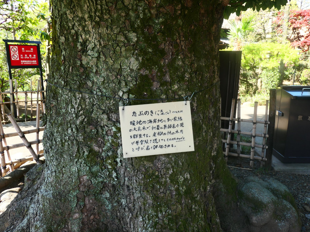 Setagaya Daikanyashiki景点图片