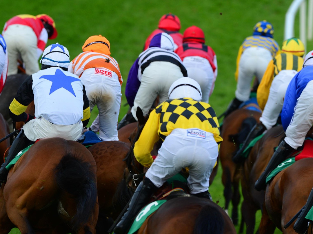 Downpatrick Racecourse景点图片