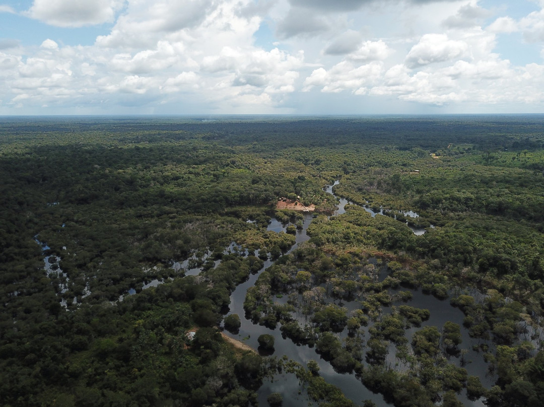 Amazon Green Tours-玛瑙斯必去景点
