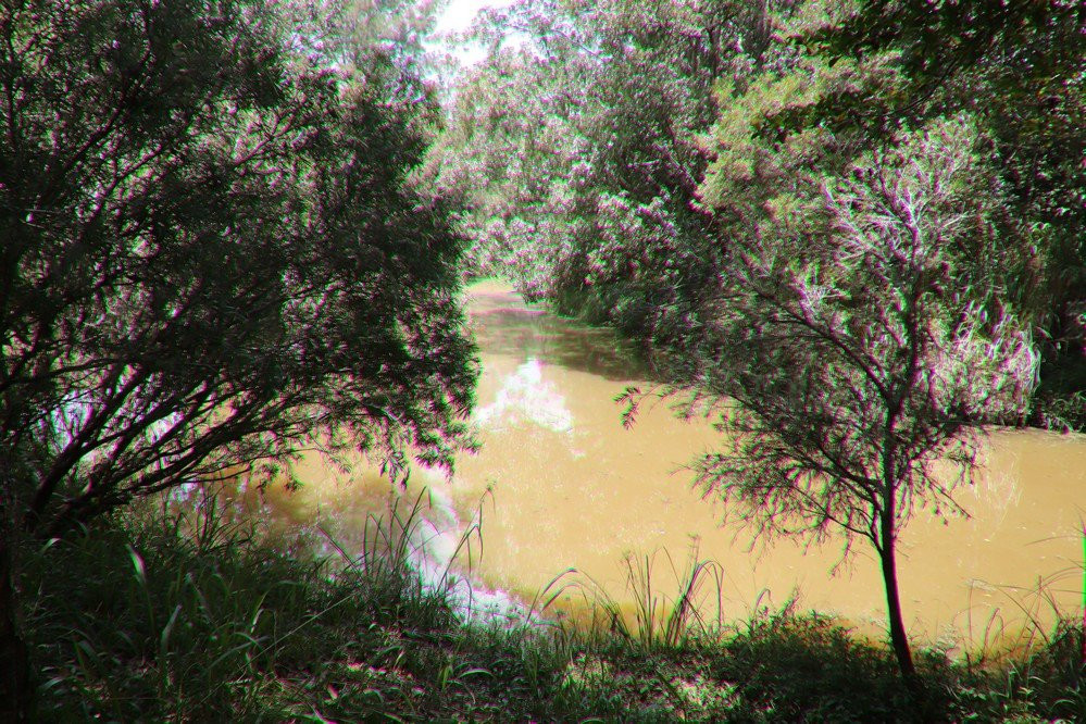 Yungaburra旅游景点-Yungaburra Platypus Viewing Platform