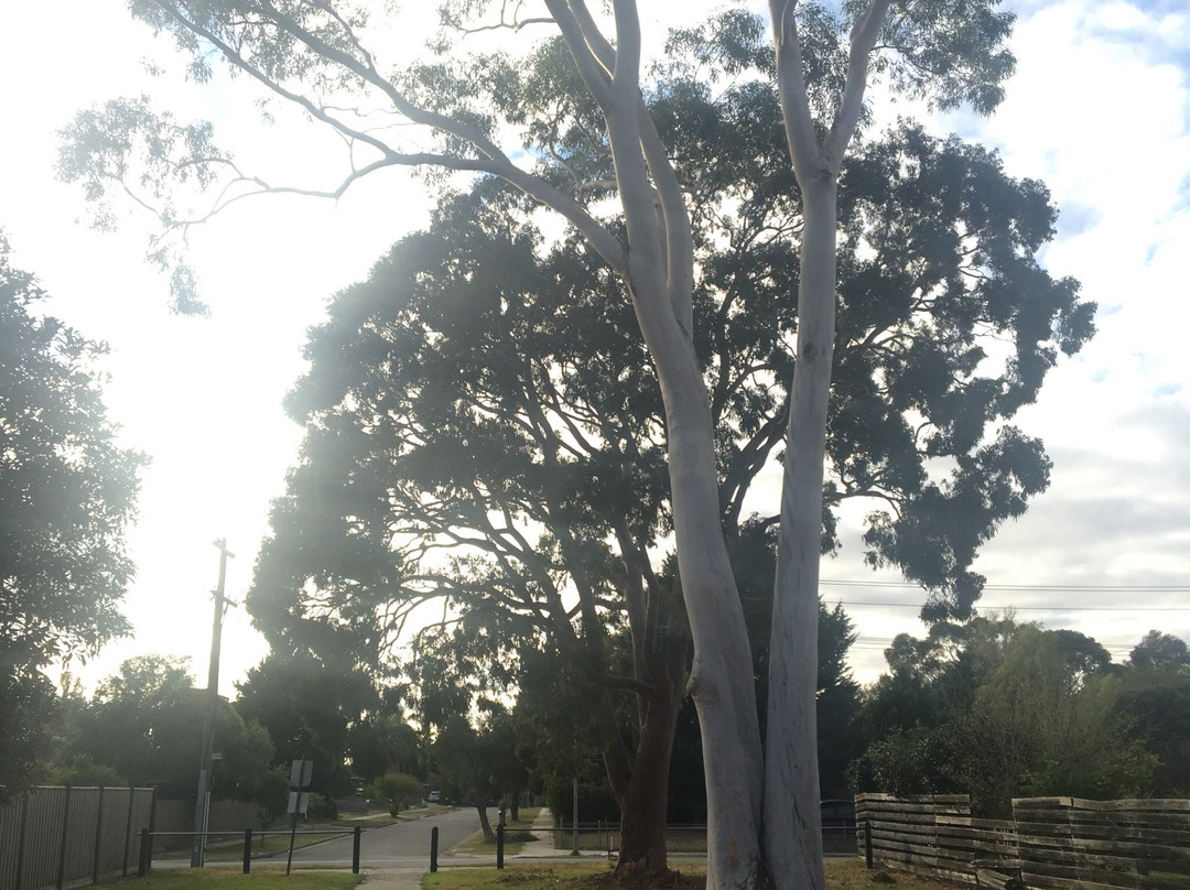 Lorna Wilson Reserve-Narre Warren必去景点
