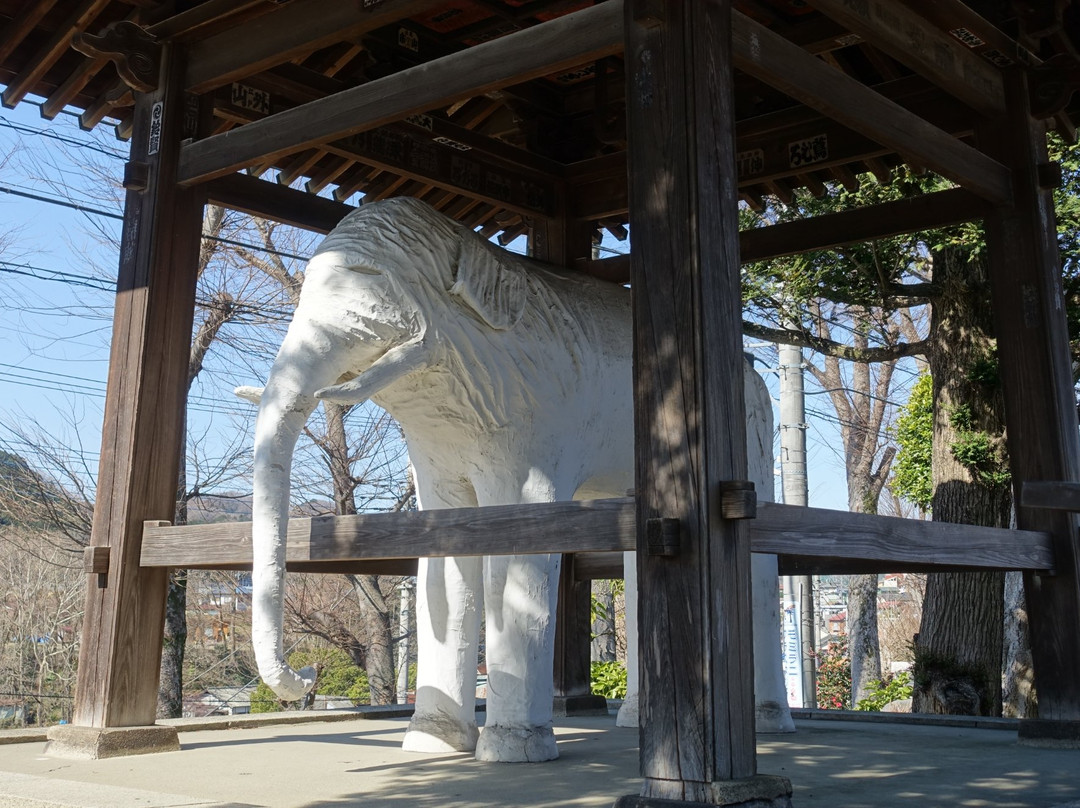 Kannon-ji Temple-饭能市必去景点