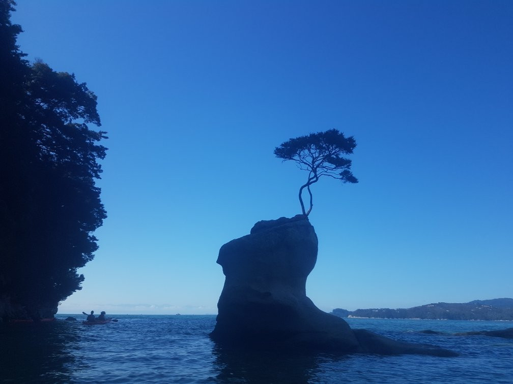 Tasman Bay Sea Kayaking Adventures景点图片