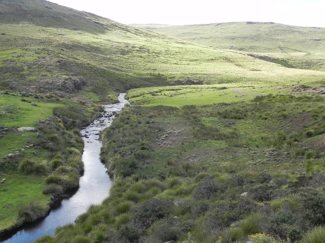 Tenahead Lodge & Spa主图