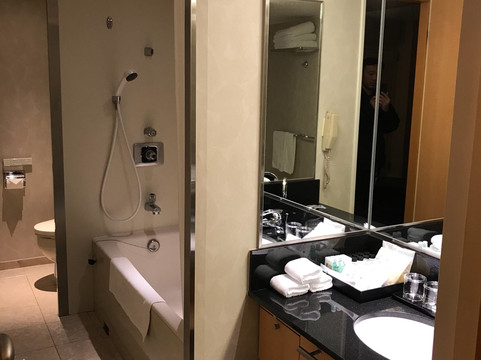 大阪都喜来登酒店主图