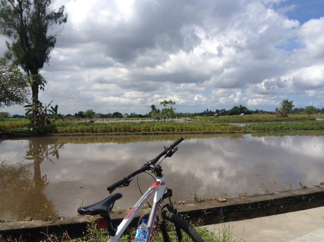 Omah Lembu Cycling Tour景点图片