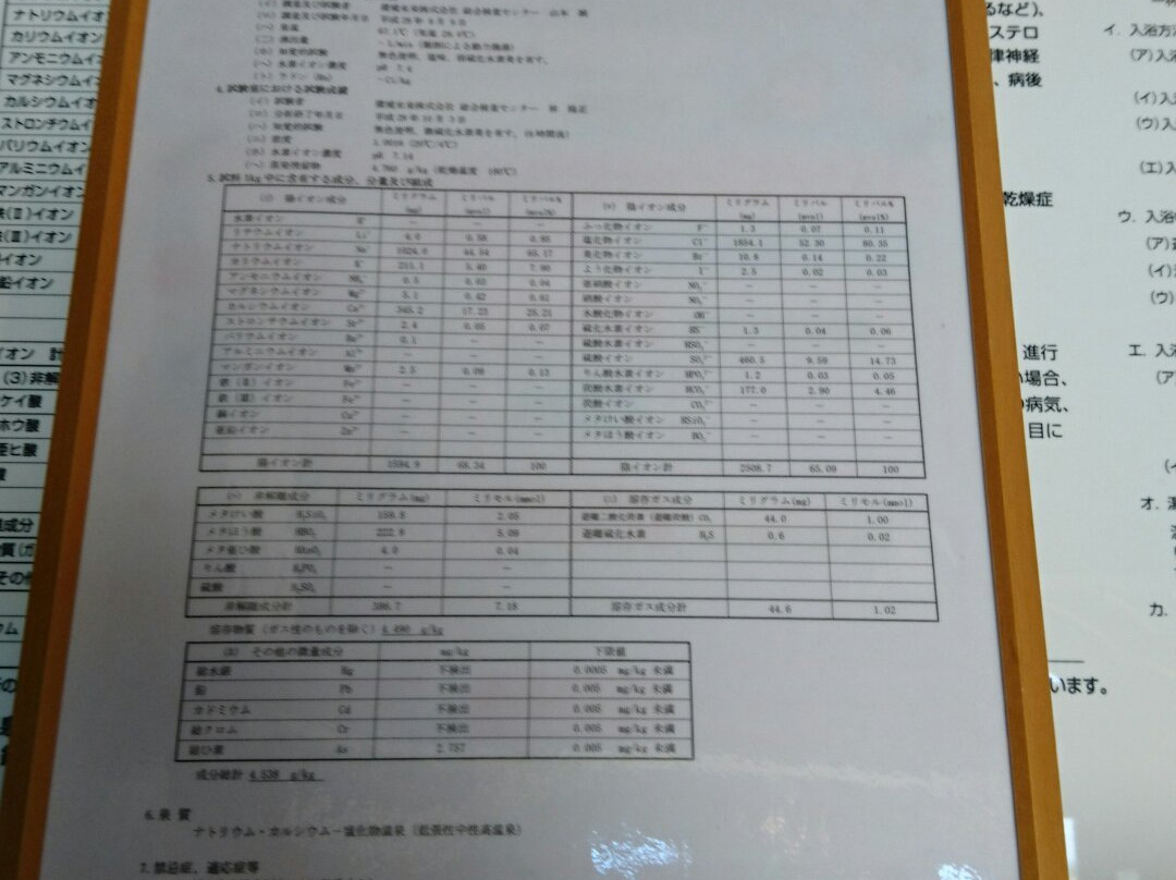 Yamada Onsen Oyu-高山村必去景点