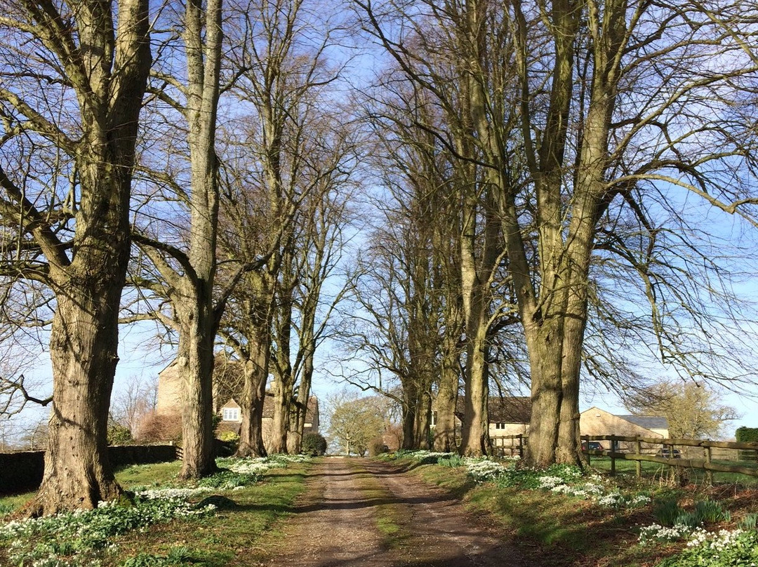 Lowfield Farm