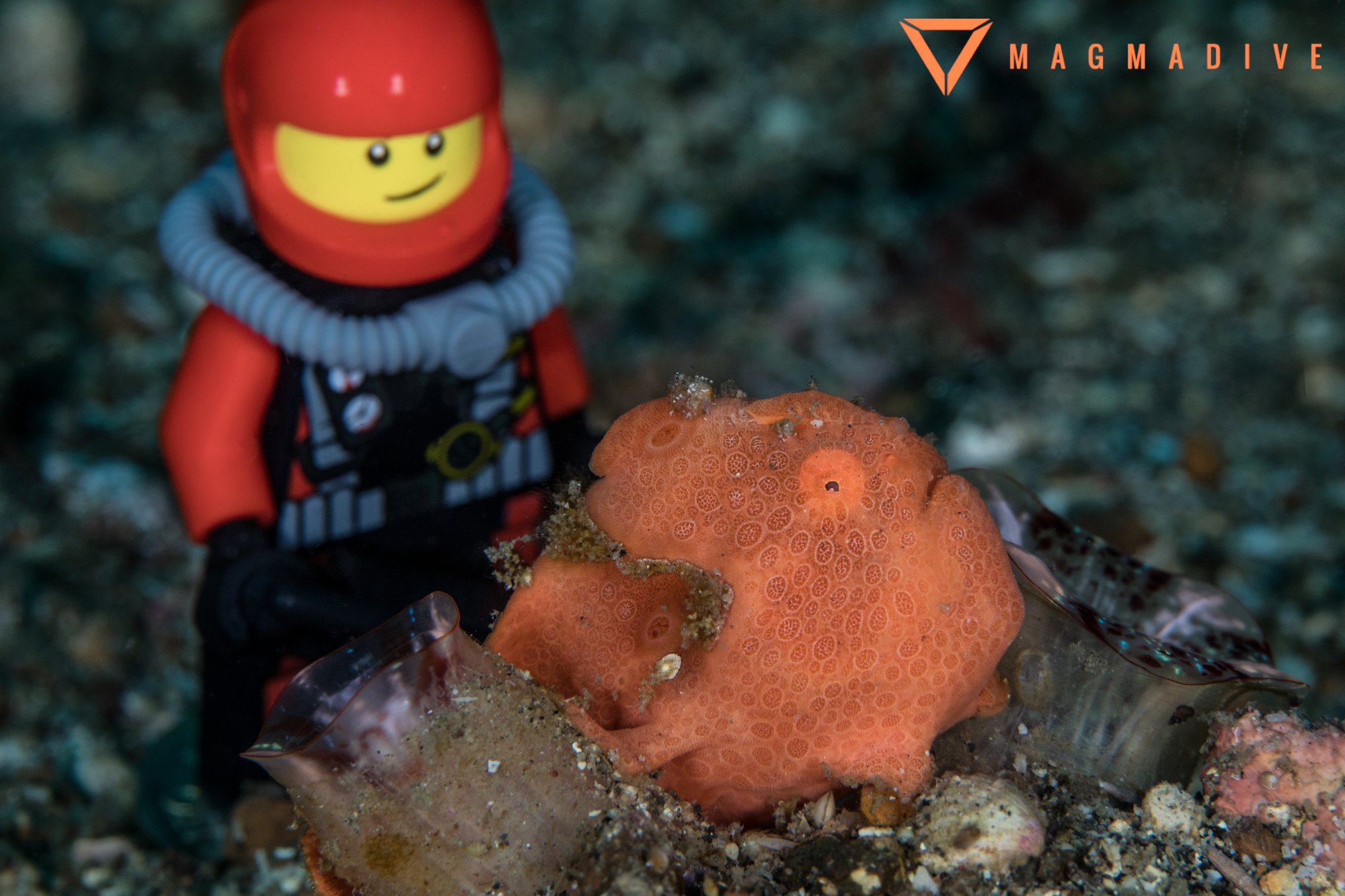 Dive Into Lembeh-浴室