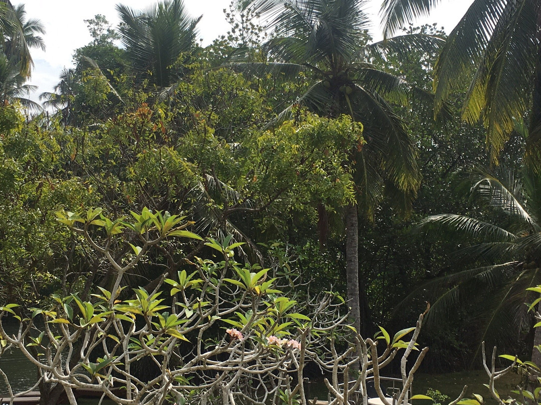 Muthumuni Ayurveda River Resort主图