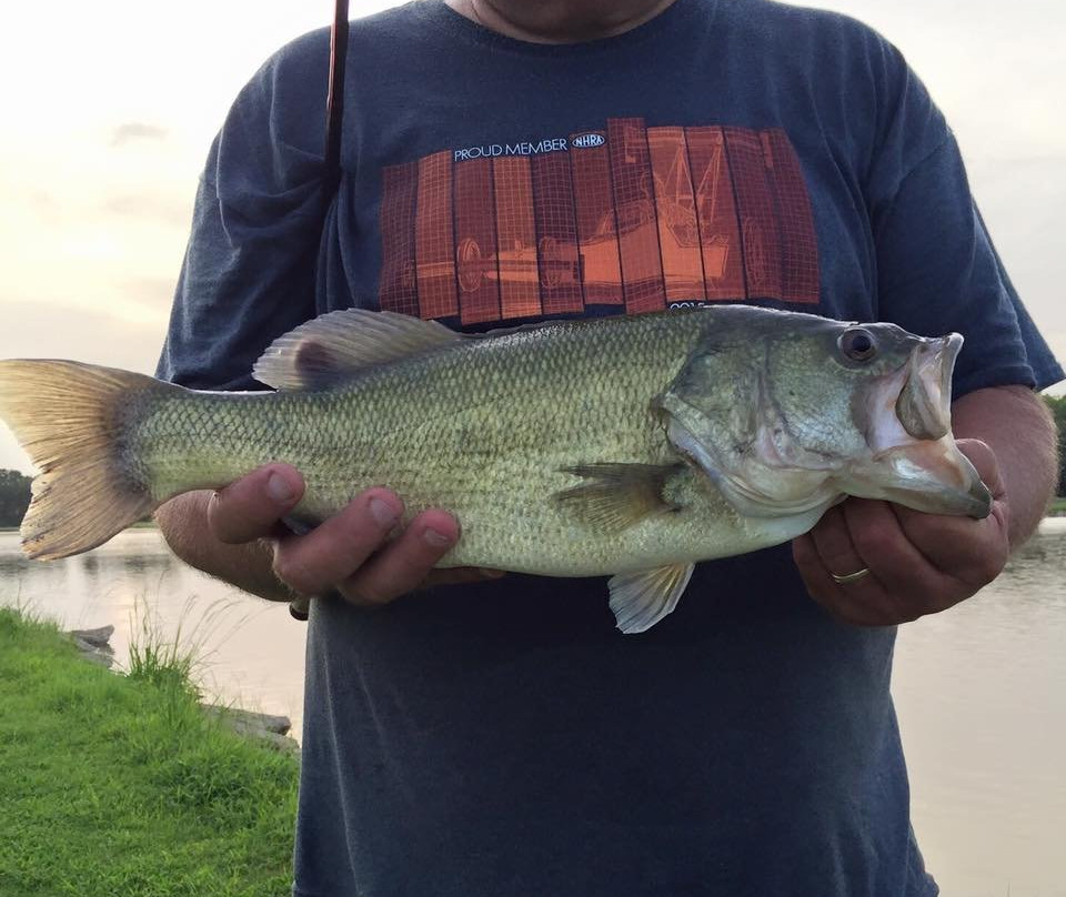 Poche's Fish-N-Camp