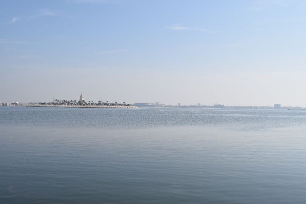 Dolphin Resort主图