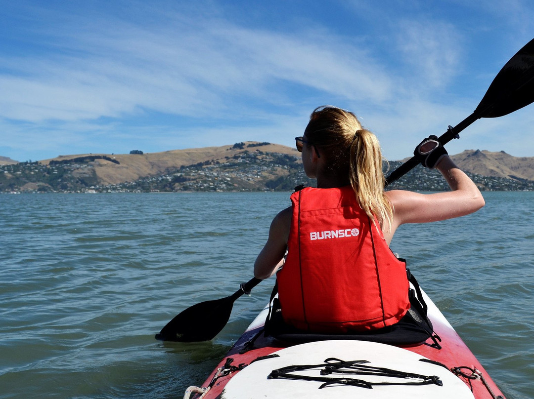 Christchurch Sea Kayaking-基督城必去景点