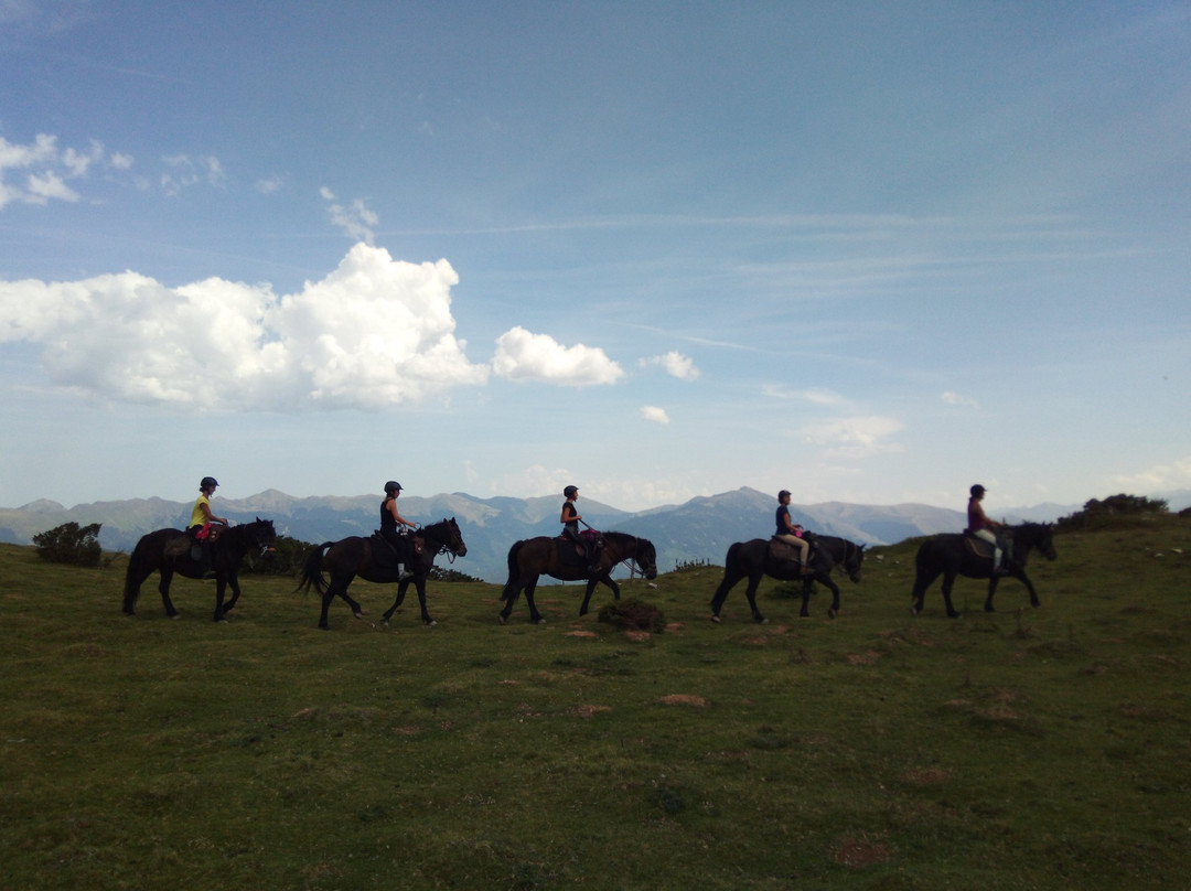 Ferme équestre Cheval en Hautes Pyrénées景点图片