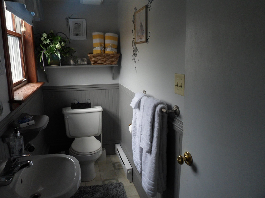 Regent Street Bed & Breakfast主图