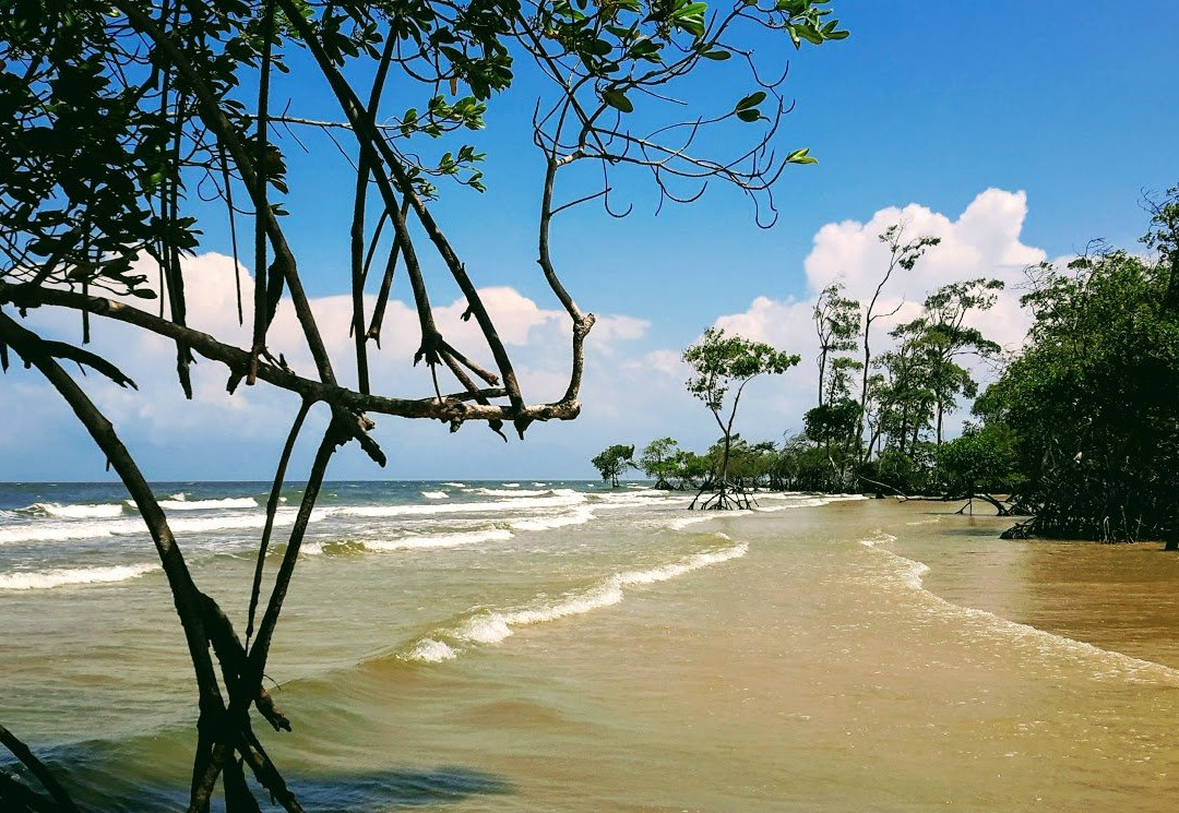 Barra Velha Beach景点图片