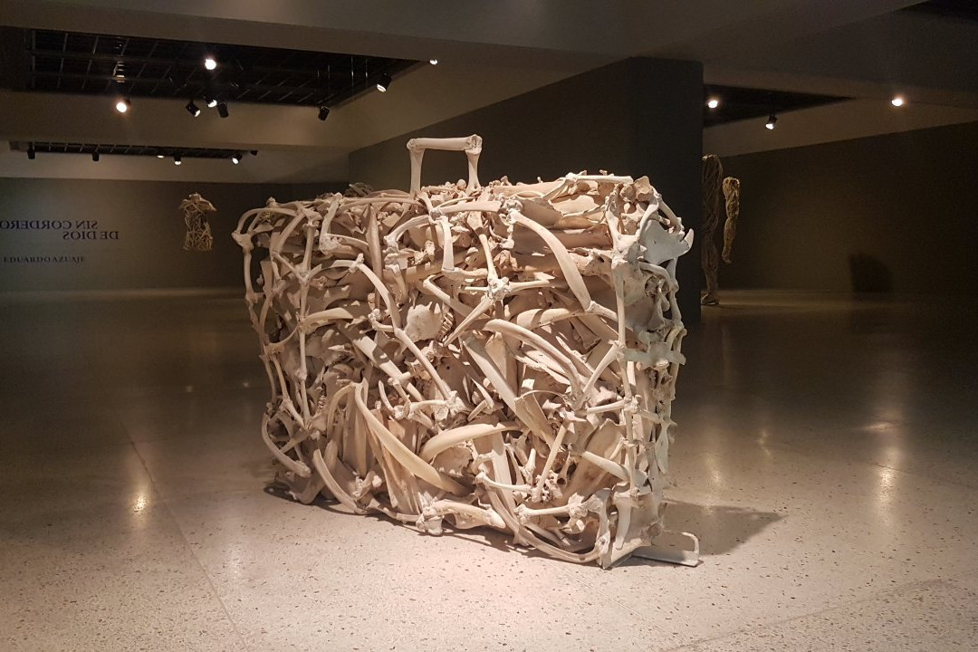 Museo de Arte Contemporaneo景点图片