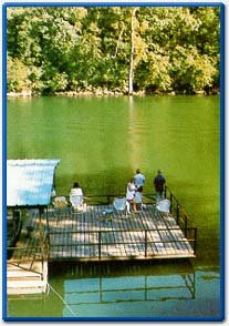 Ozark Trout Resort主图