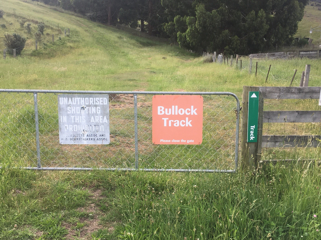 Bullock Track Roxburgh景点图片