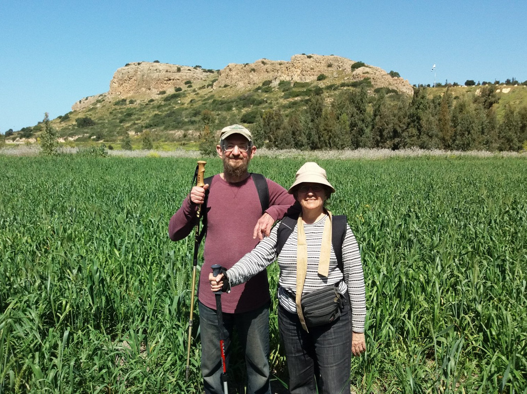 Hotem Hacarmel Nature Reserve景点图片