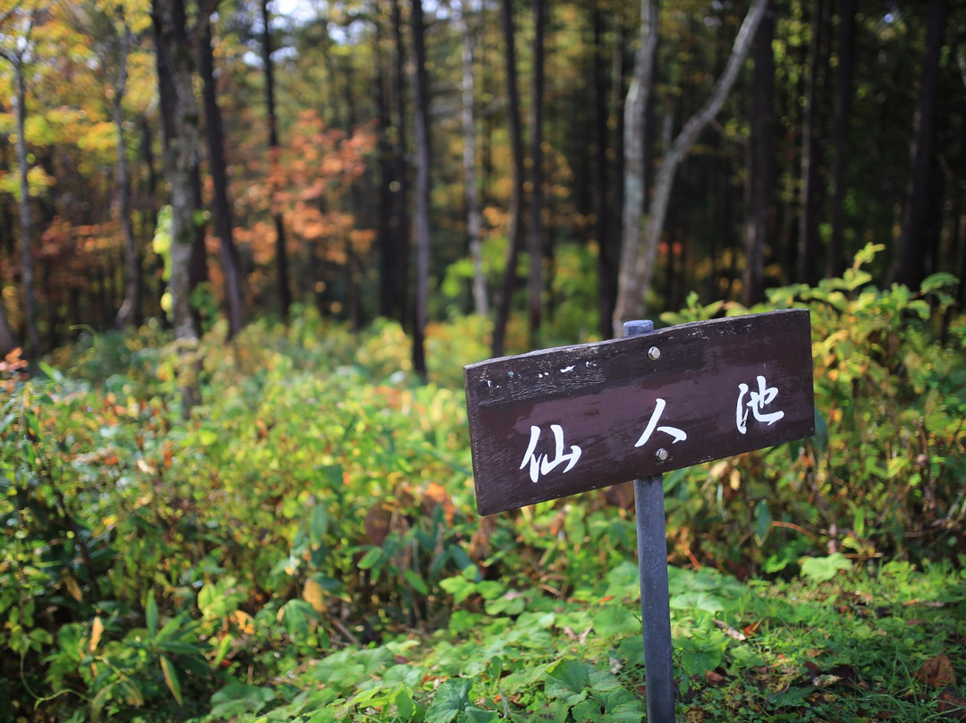 Sennin Pond景点图片