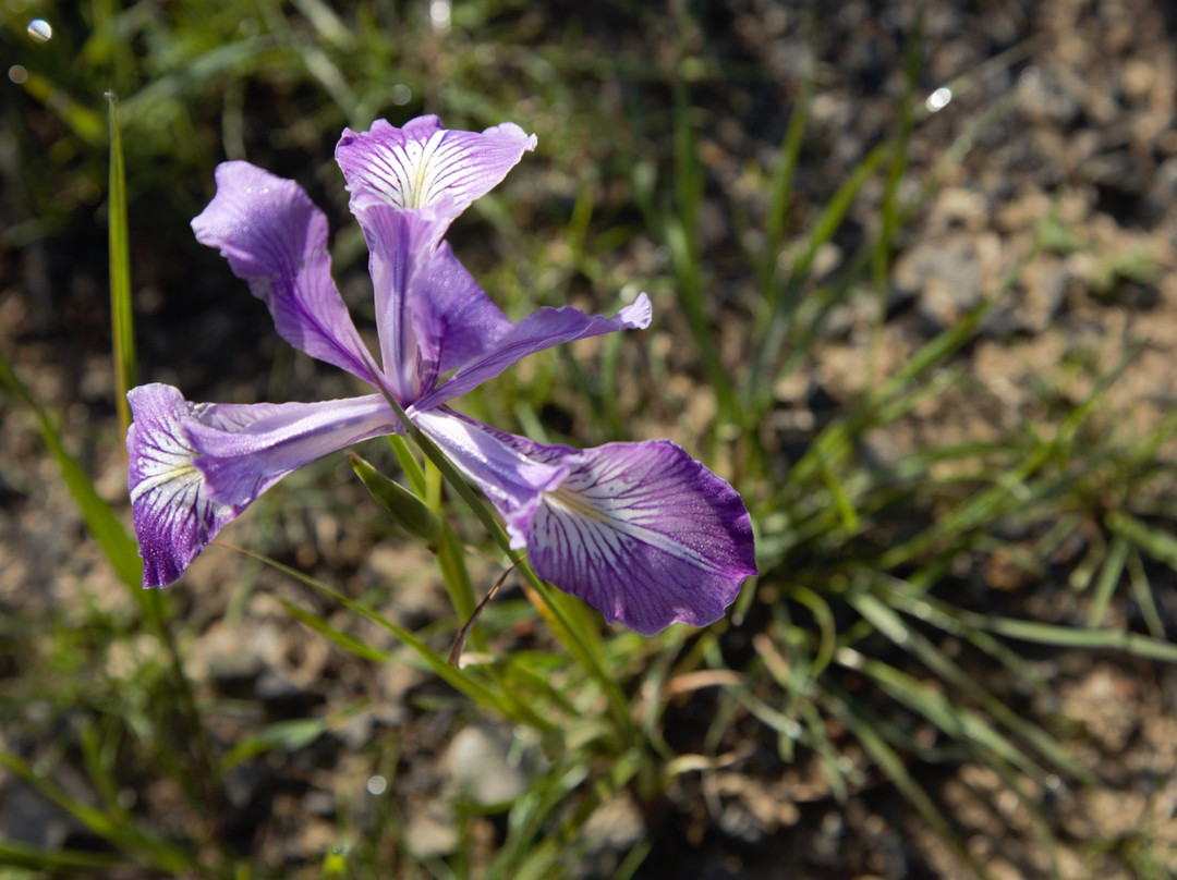 Siletz Bay National Wildlife Refuge-林肯城必去景点