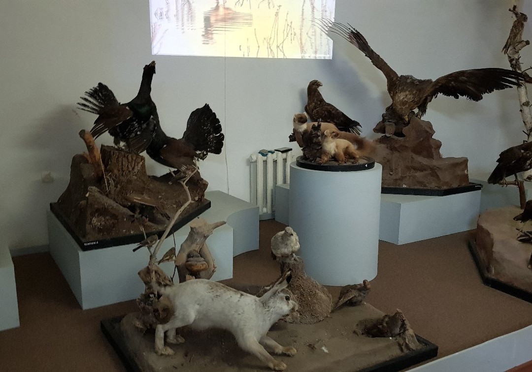 Orenburg Governor's Local Lore and History Museum-Orenburg必去景点