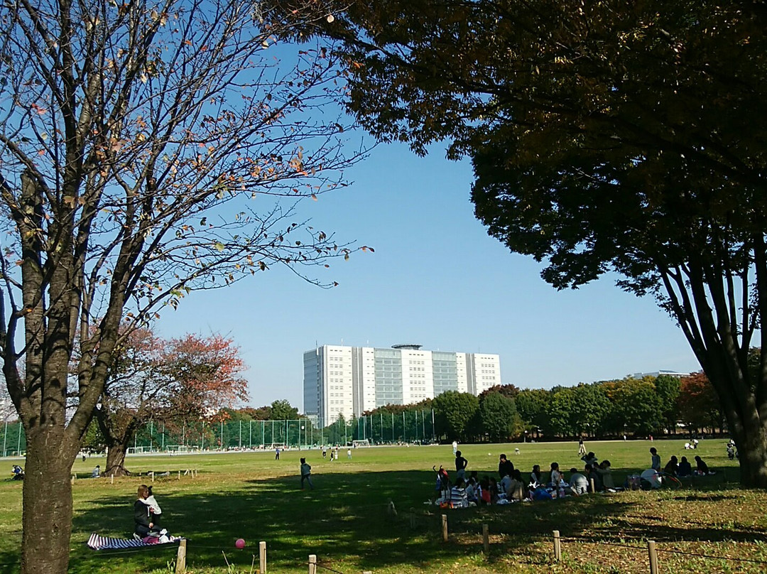 Musashino Chuo Park景点图片