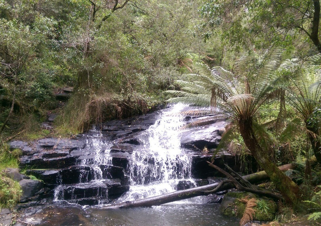 Cora Lynn Cascades Walk-洛恩必去景点
