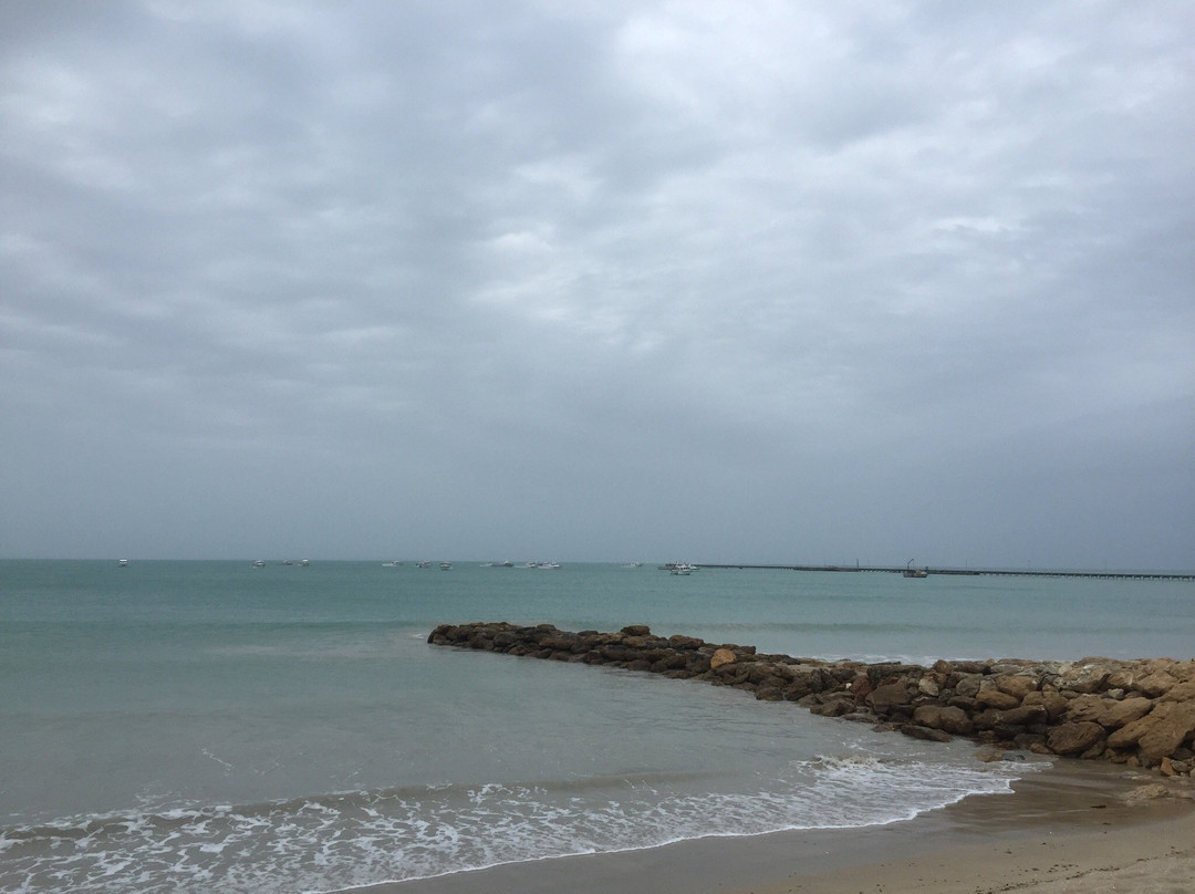 Beachport Conservation Park景点图片